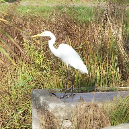 Am Haff Stolpe auf Usedom